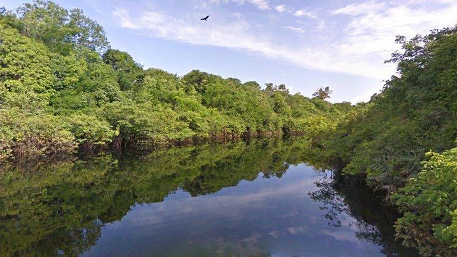 15 imágenes favoritas de Street View