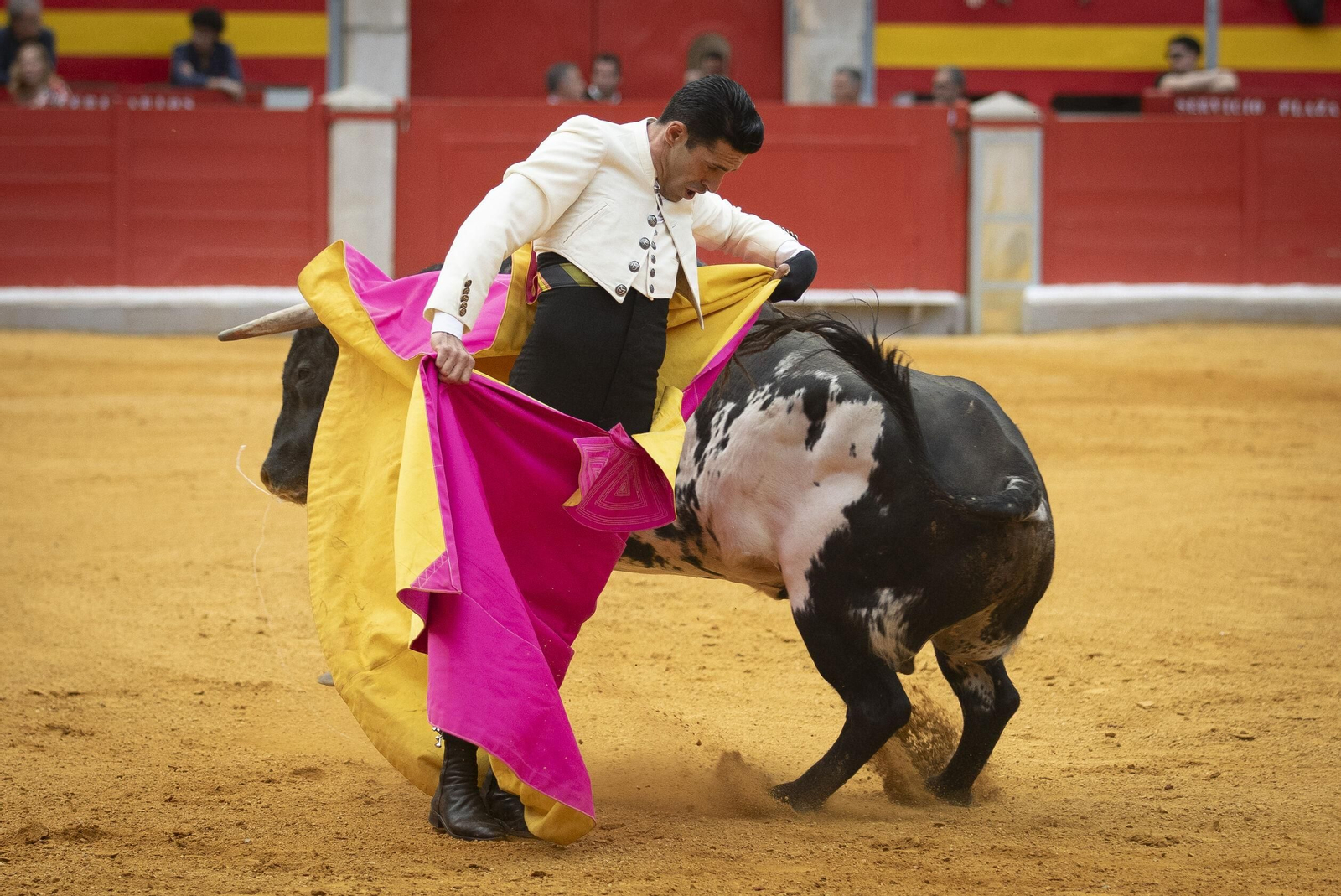 El Festival Taurino a beneficio de Granadown, en imágenes