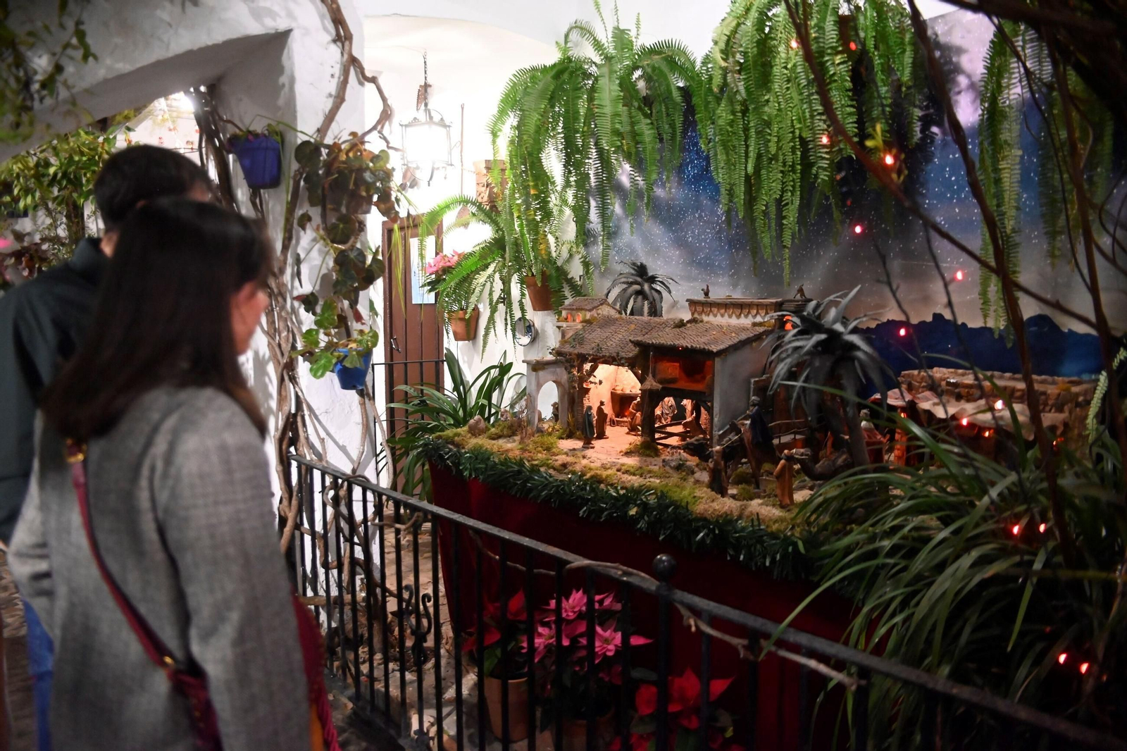 Los patios de Córdoba se llenan de alegría en Navidad