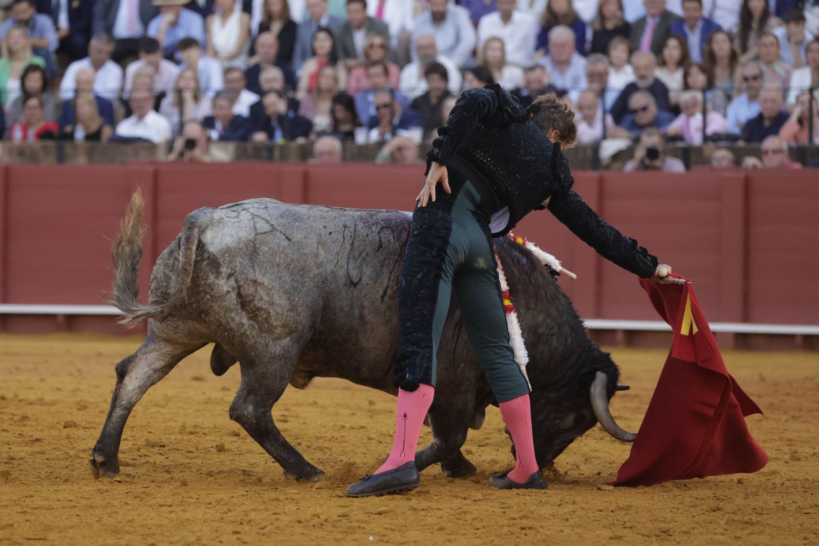 Las imágenes de la corrida de los Victorinos en la Maestranza de Sevilla
