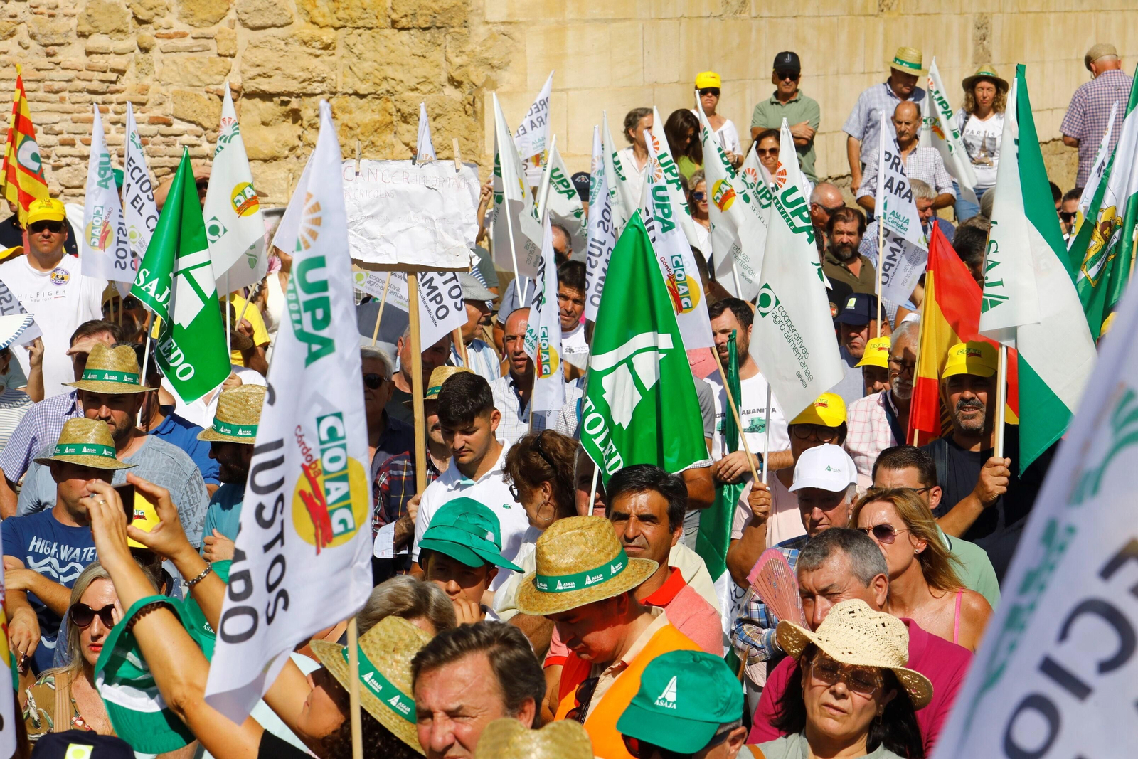 La protesta del sector agrario contra las políticas de la UE en Córdoba, en imágenes