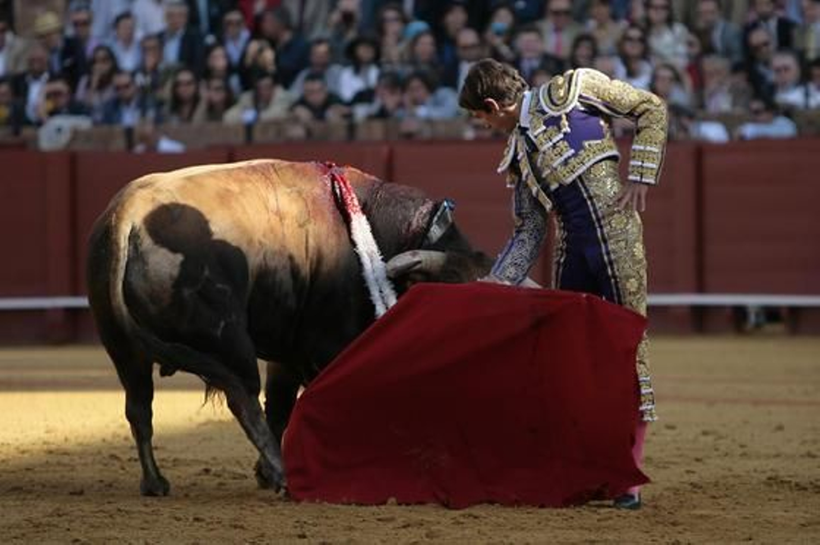 Foto: Juan Carlos Muñoz