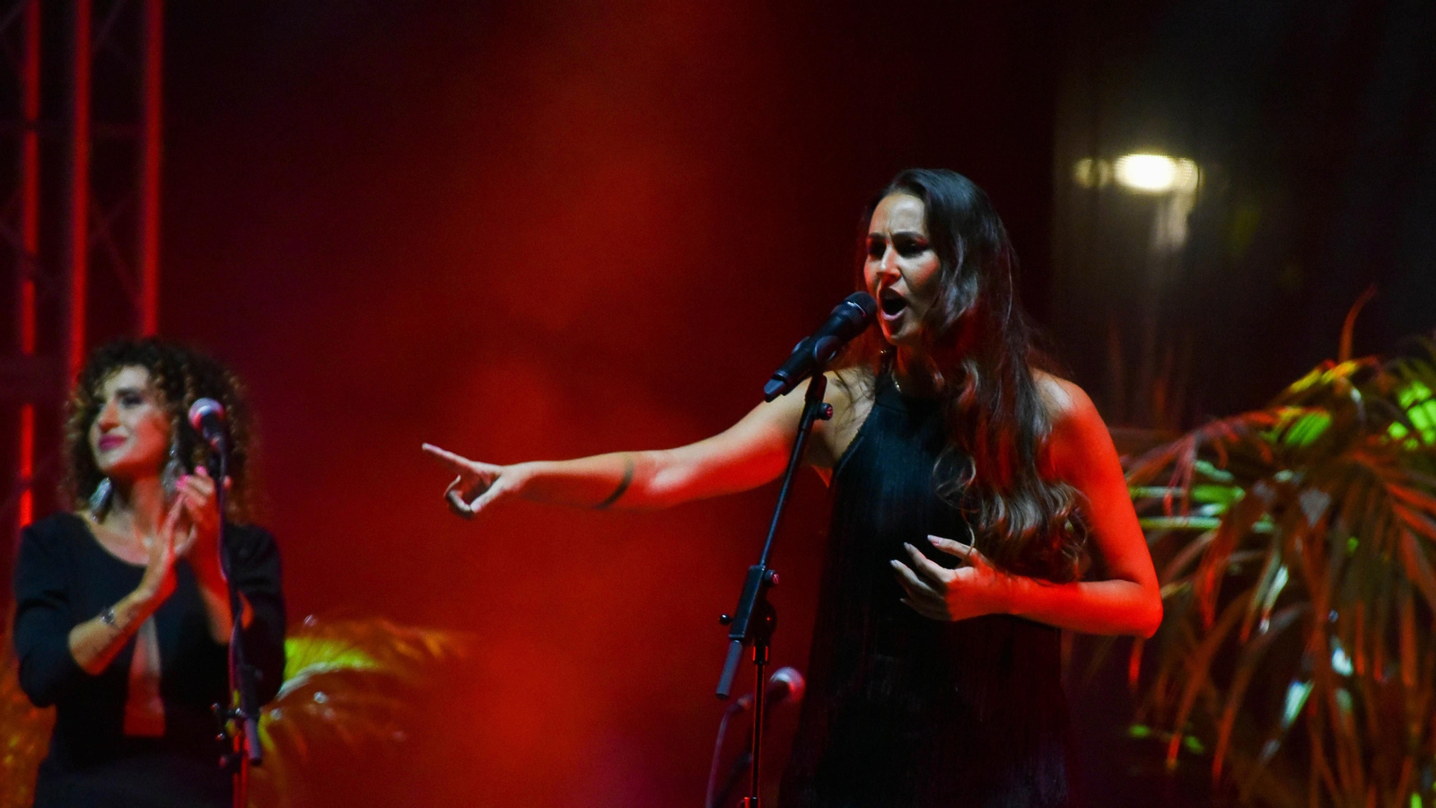 Fotos del concierto de Diego del Morao en el IX Encuentro Internacional de guitarra Paco de Lucía