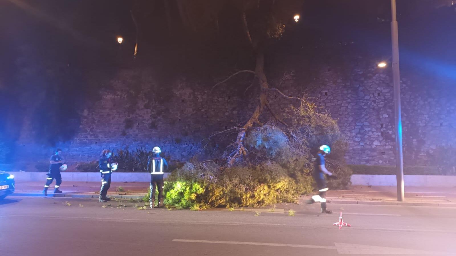 Los Bomberos de Motril junto al árbol caído Los Bomberos de Motril junto al árbol caído