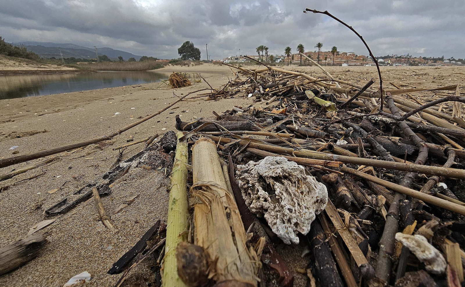 Fotos de la limpieza de las bolas blancas en la playa de Getares en Algeciras