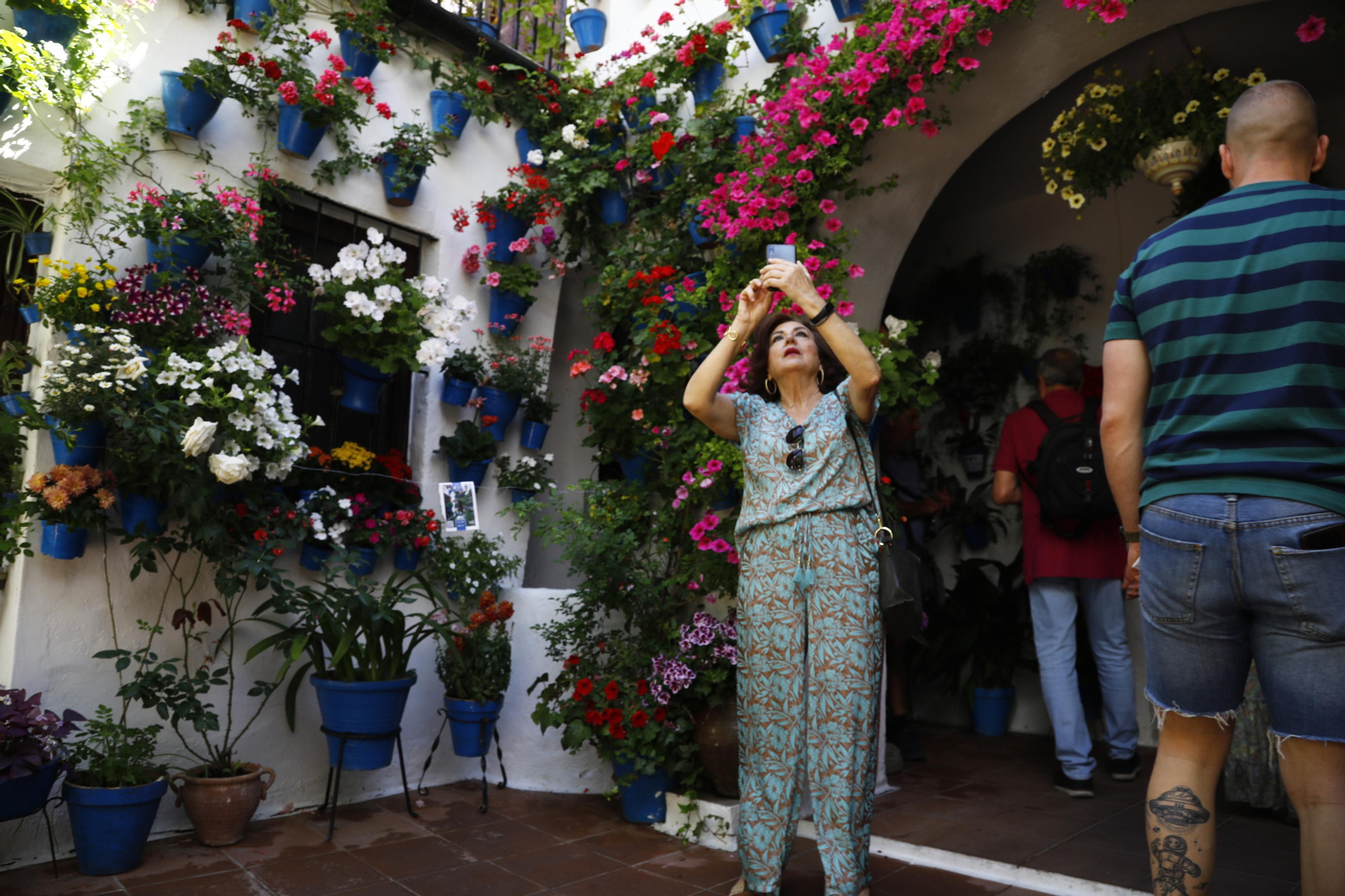 Los Patios de Córdoba se preparan para el fin de semana, en imágenes