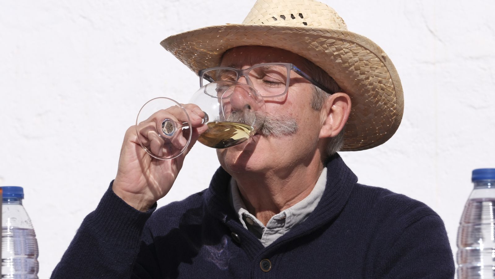 Imágenes del Certamen de Mostos de Fiñana