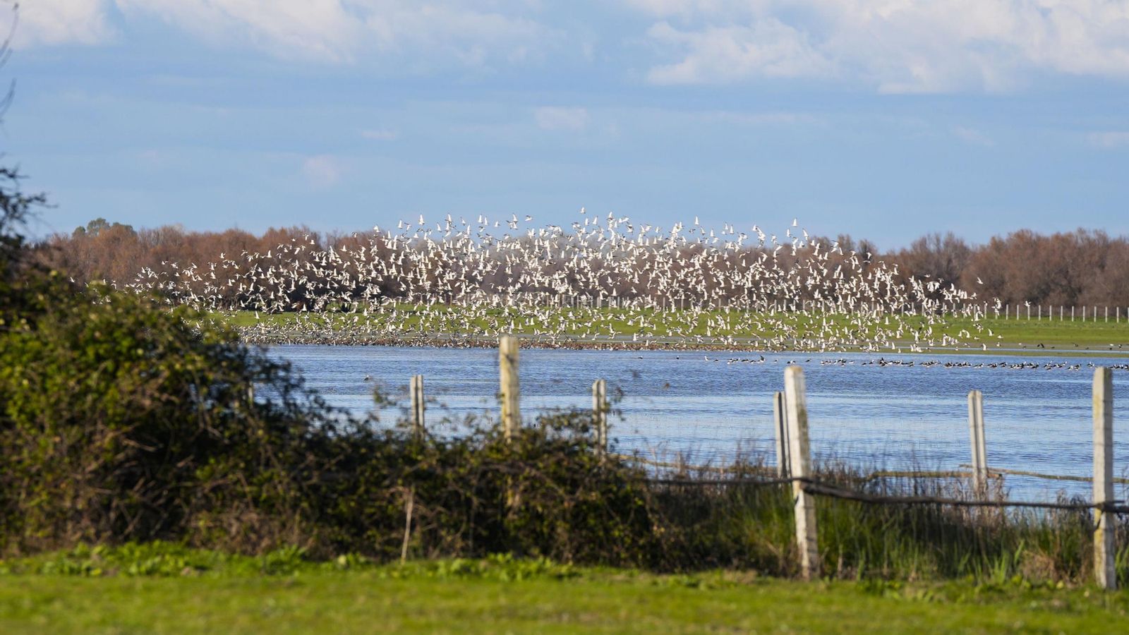 Imagen de la laguna de La Rocina en una reciente visita de la consejera de Medio Ambiente.