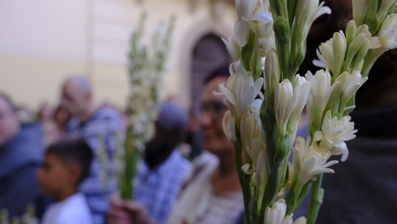 La ofrenda floral a la Virgen del Mar en la Feria de Almería 2025, en imágenes