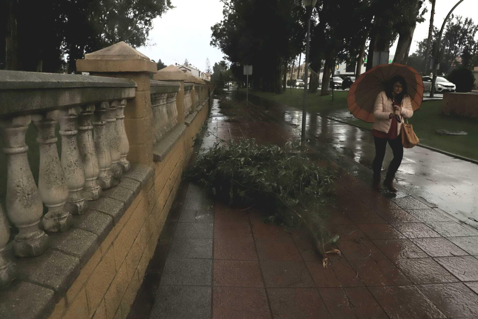 Una mujer camina junto a una rama caída por el viento en Algeciras.