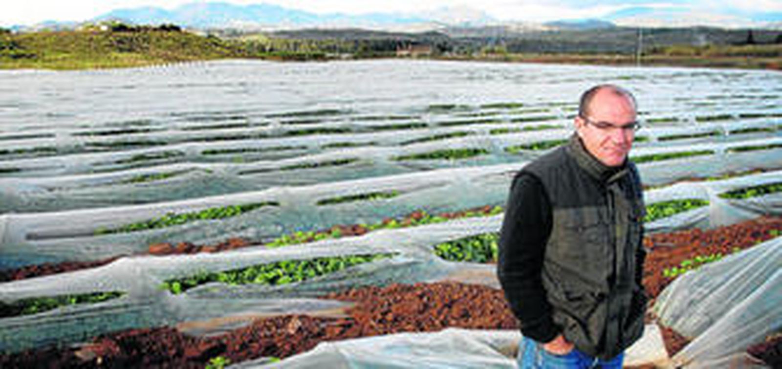El melón francés con sabor malagueño