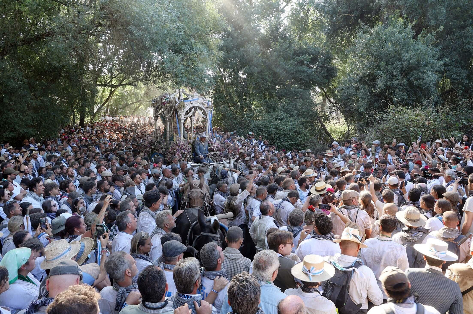Las mejores imágenes de la Hermandad del Rocío de Huelva en el camino hacia El Rocío