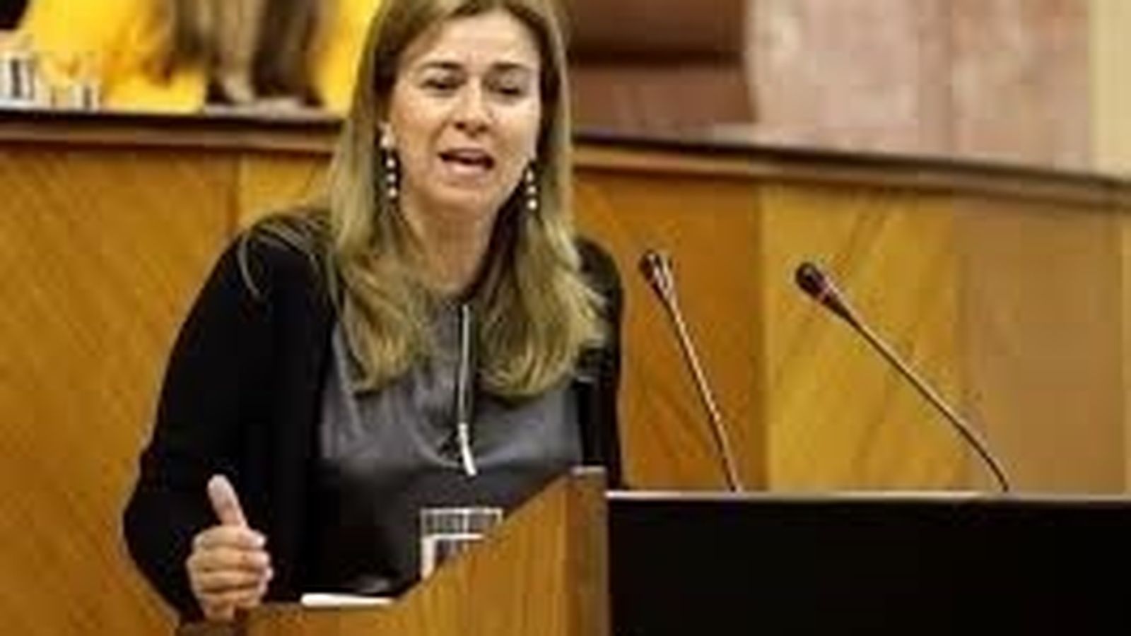 La parlamentaria gaditana Teresa Ruiz Sillero.