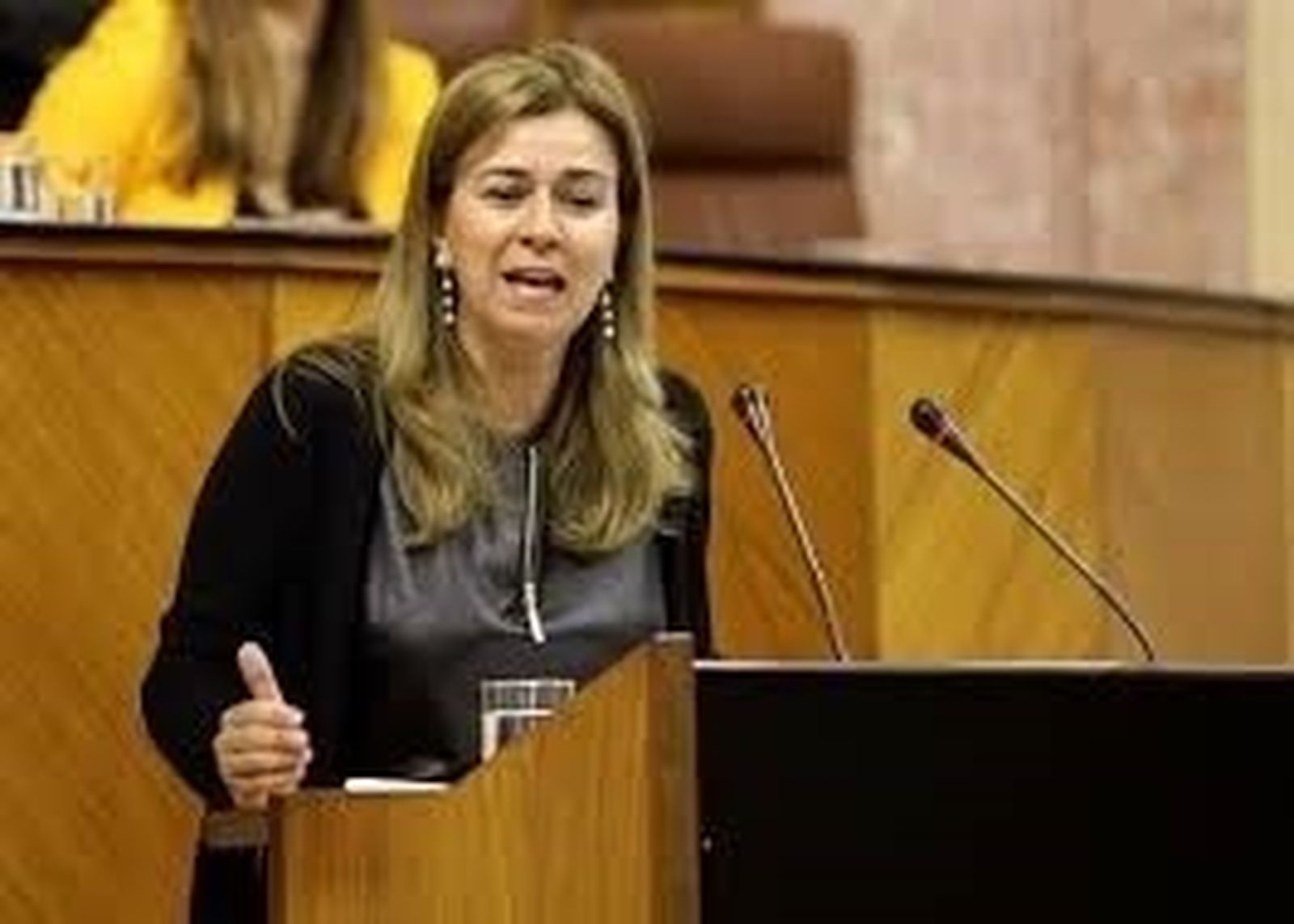 La parlamentaria gaditana Teresa Ruiz Sillero.
