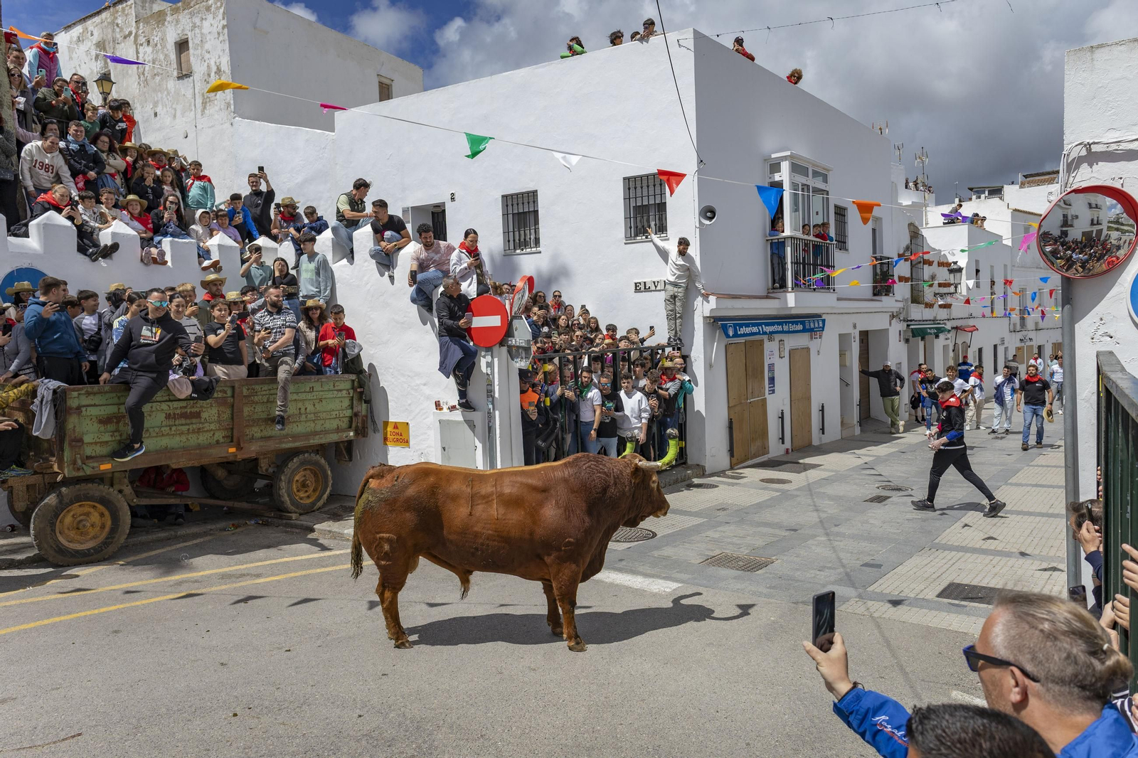 Las imágenes del Toro Embolao de Vejer 2025