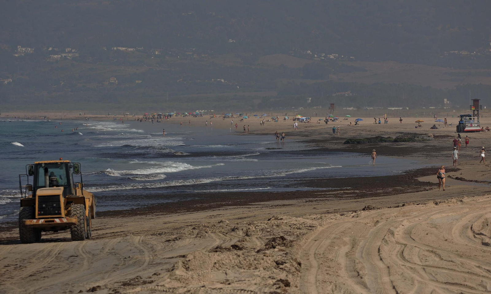 El alga invasora cubre de nuevo la playa de Los Lances en Tarifa