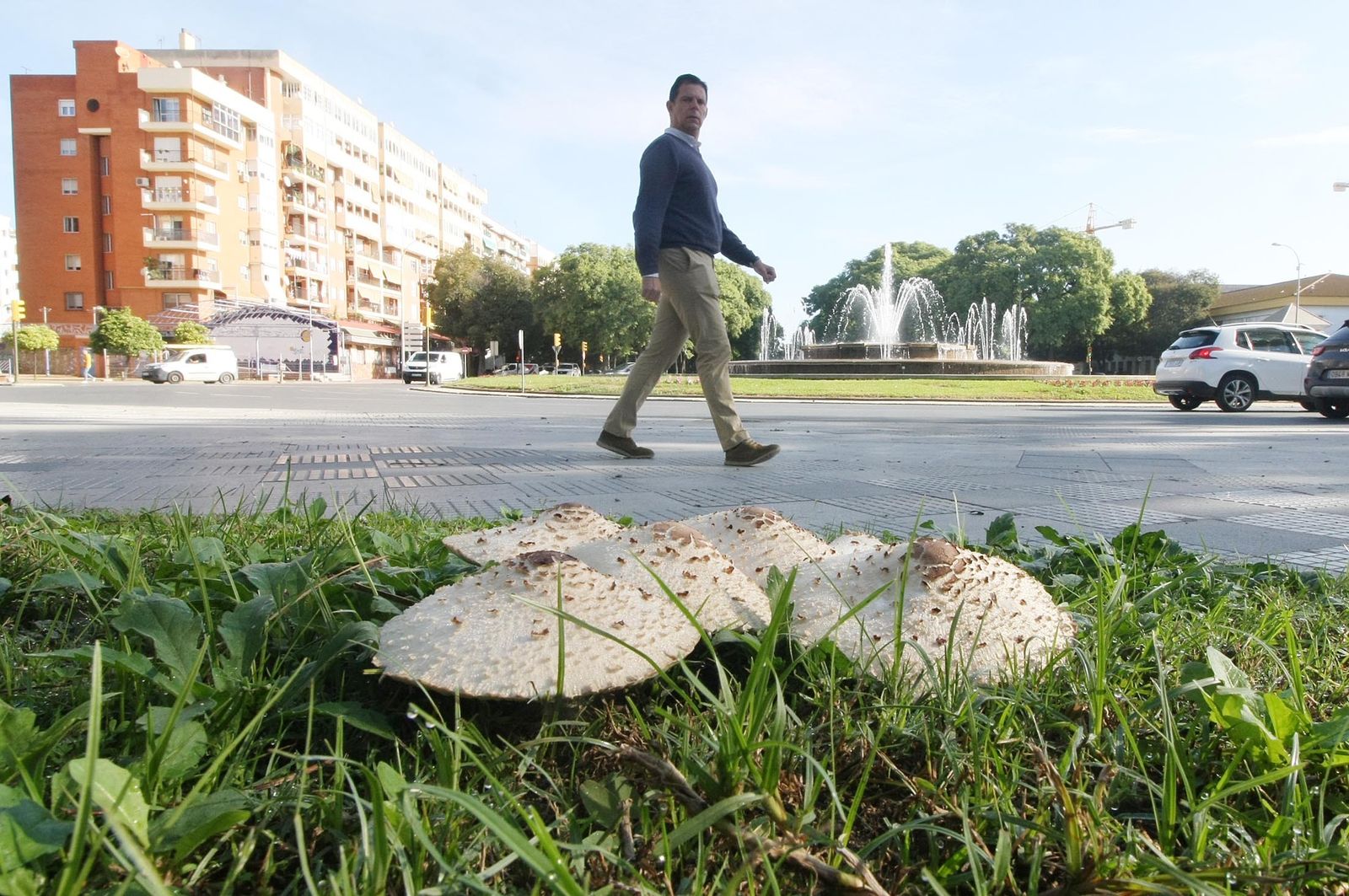Imágenes del sábado 28 de octubre en Huelva