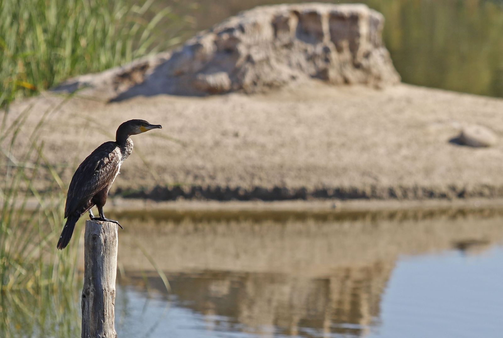Las imágenes más destacadas del lunes 25 de septiembre en Huelva
