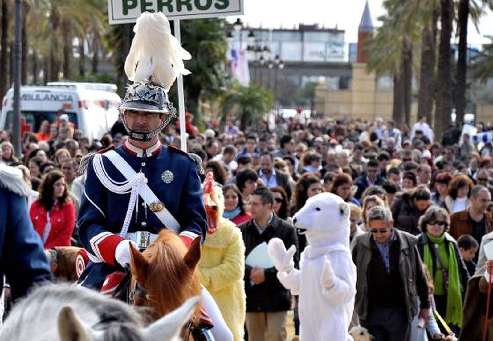 El parque González Hontoria acoge un año más la festividad de San Antón en el que los perros protagonizan la celebración pues de los 800 animales inscritos 600 eran canes.

Foto: Manu Garcia