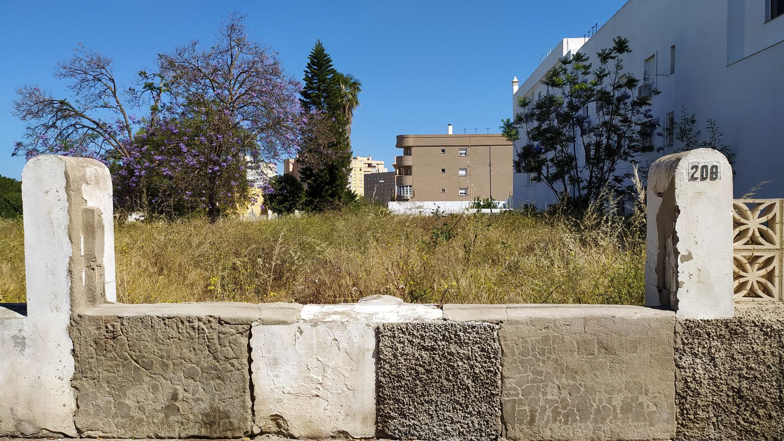 Solar colindante al Patio Cambiazo en San Fernando, donde la maleza alcanza una altura considerable.