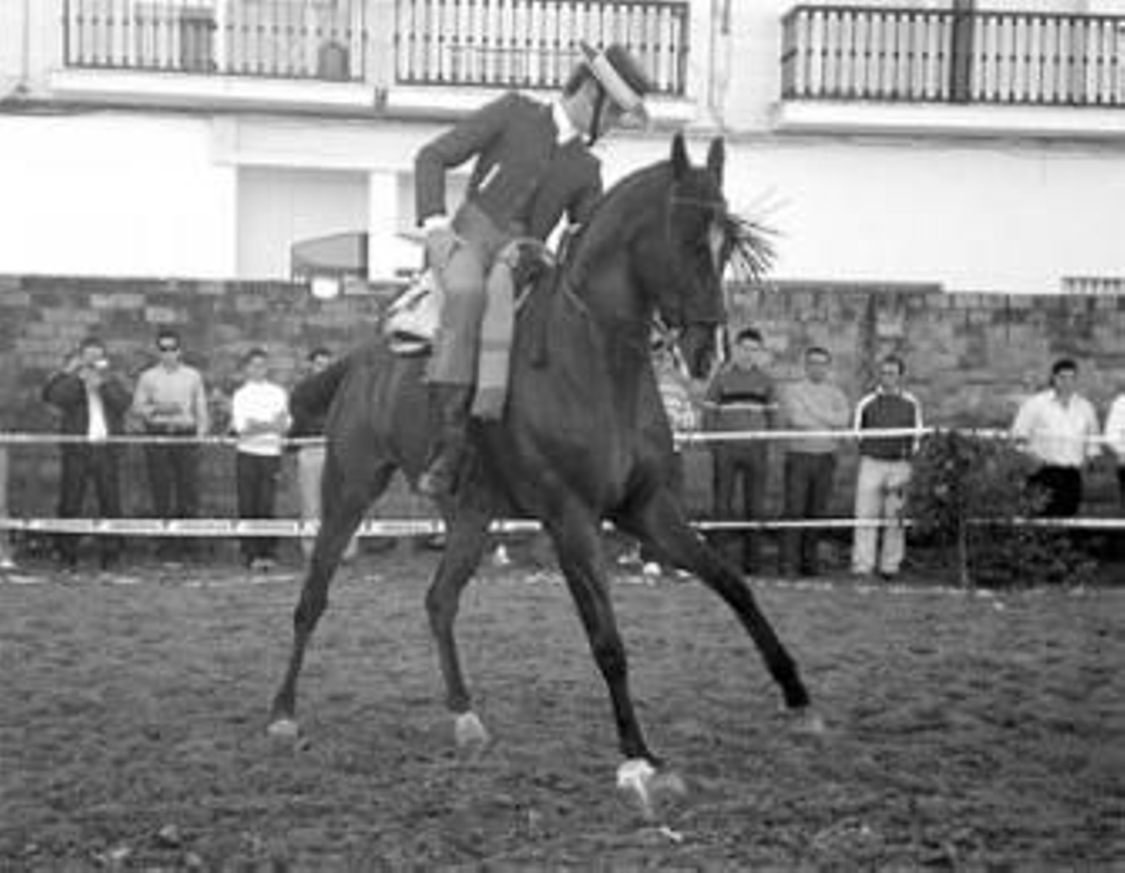 José Ramón Pérez García 'Chamo', con Buscarest, en medias al paso.
