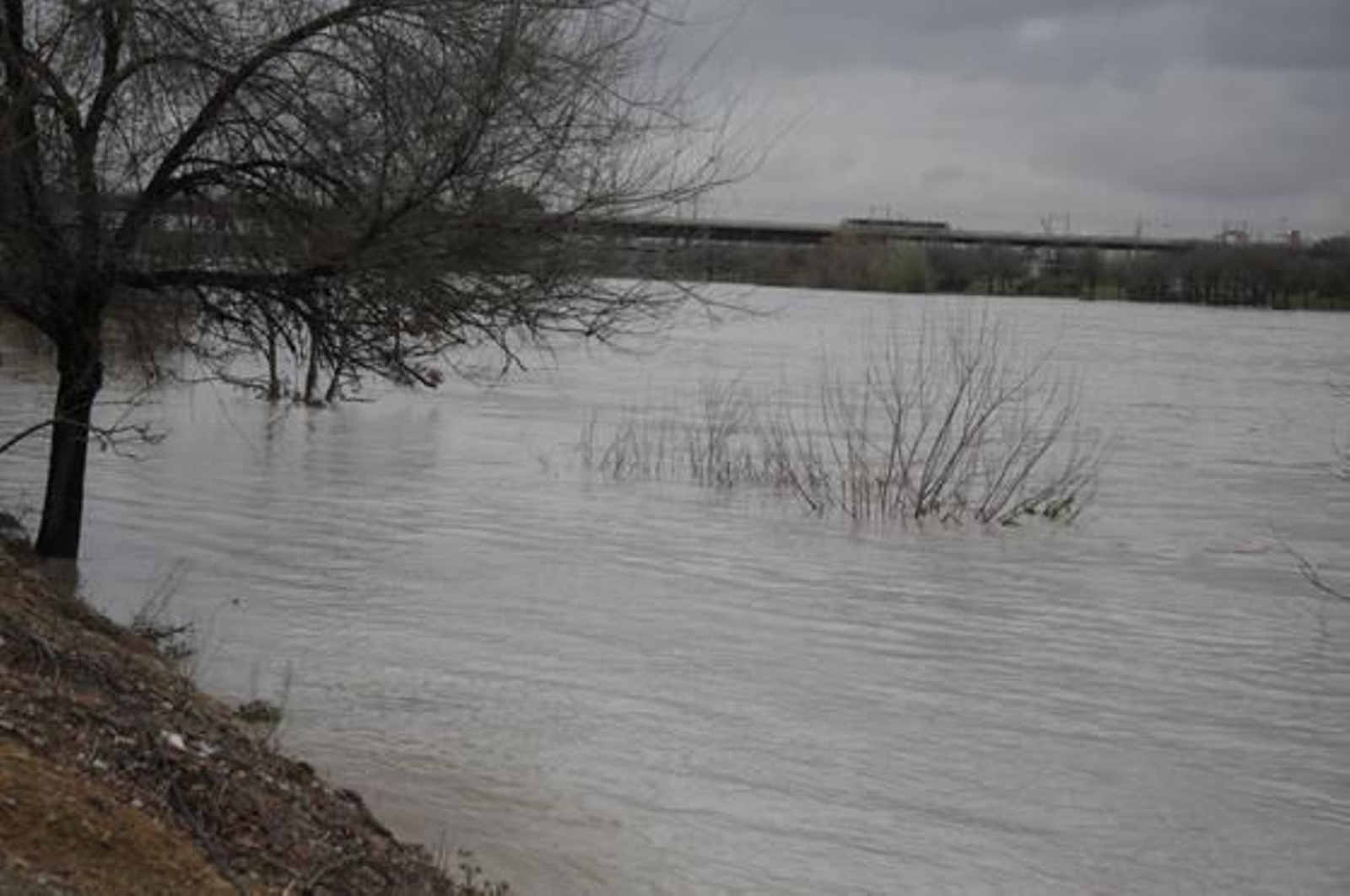 El río alcanza grandes niveles en San Juan de Aznalfarache.

Foto: Victoria Hidalgo