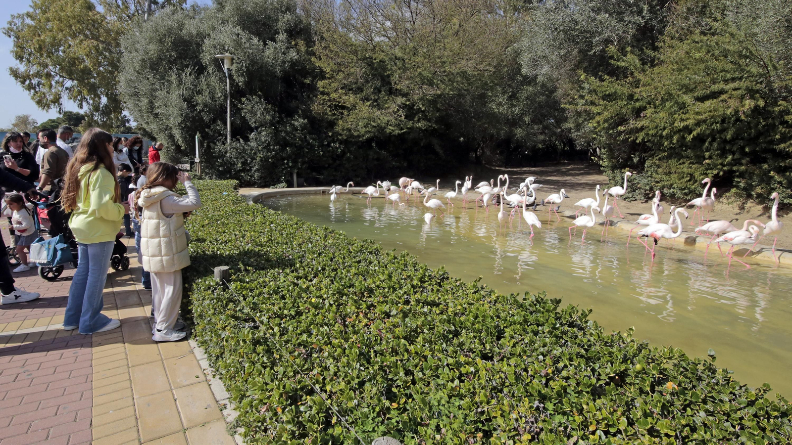 69 aniversario del Zoo de Jerez