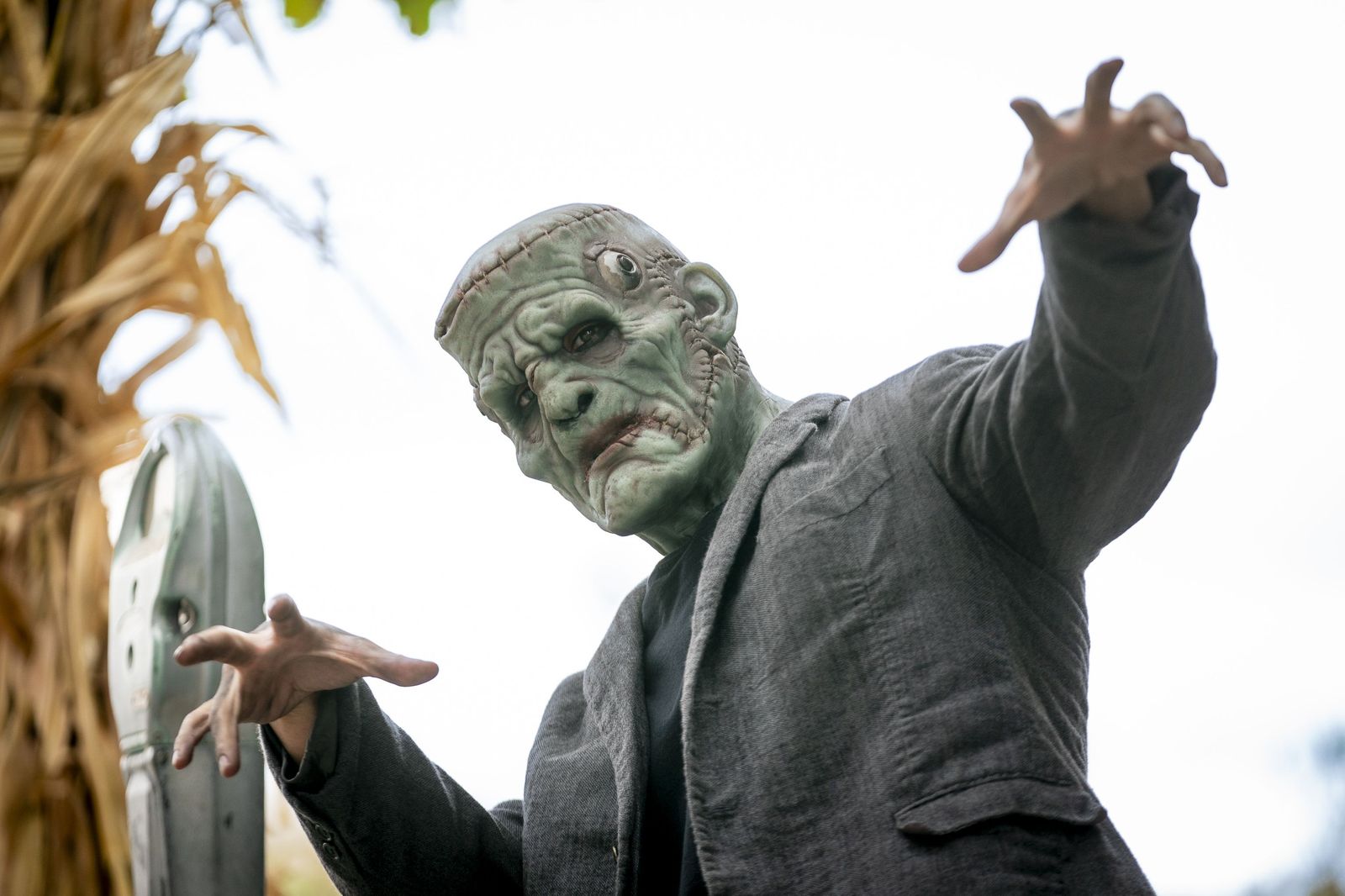 Descubre el disfraz más buscado para este Halloween