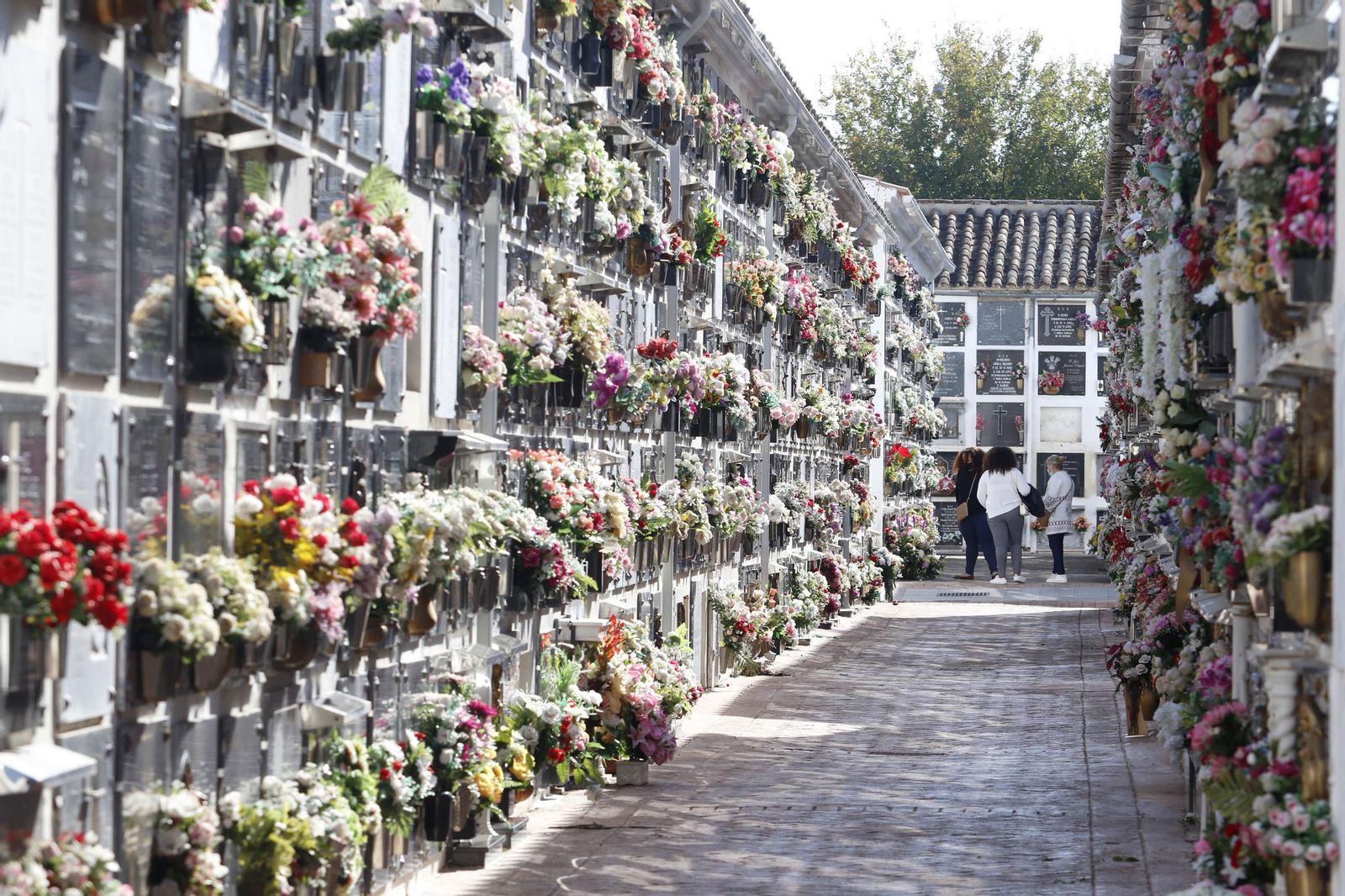 las fotos del día de Todos los Santos