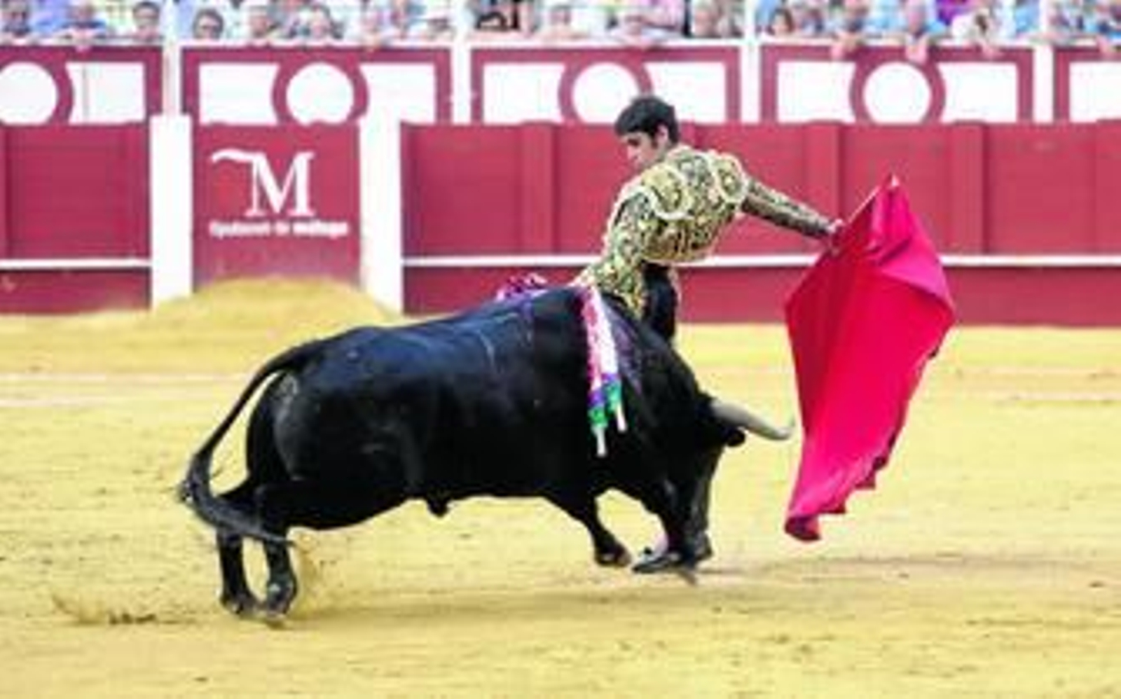 Pase cambiado por la espalda de Miguel Ángel Perera para iniciar faena.