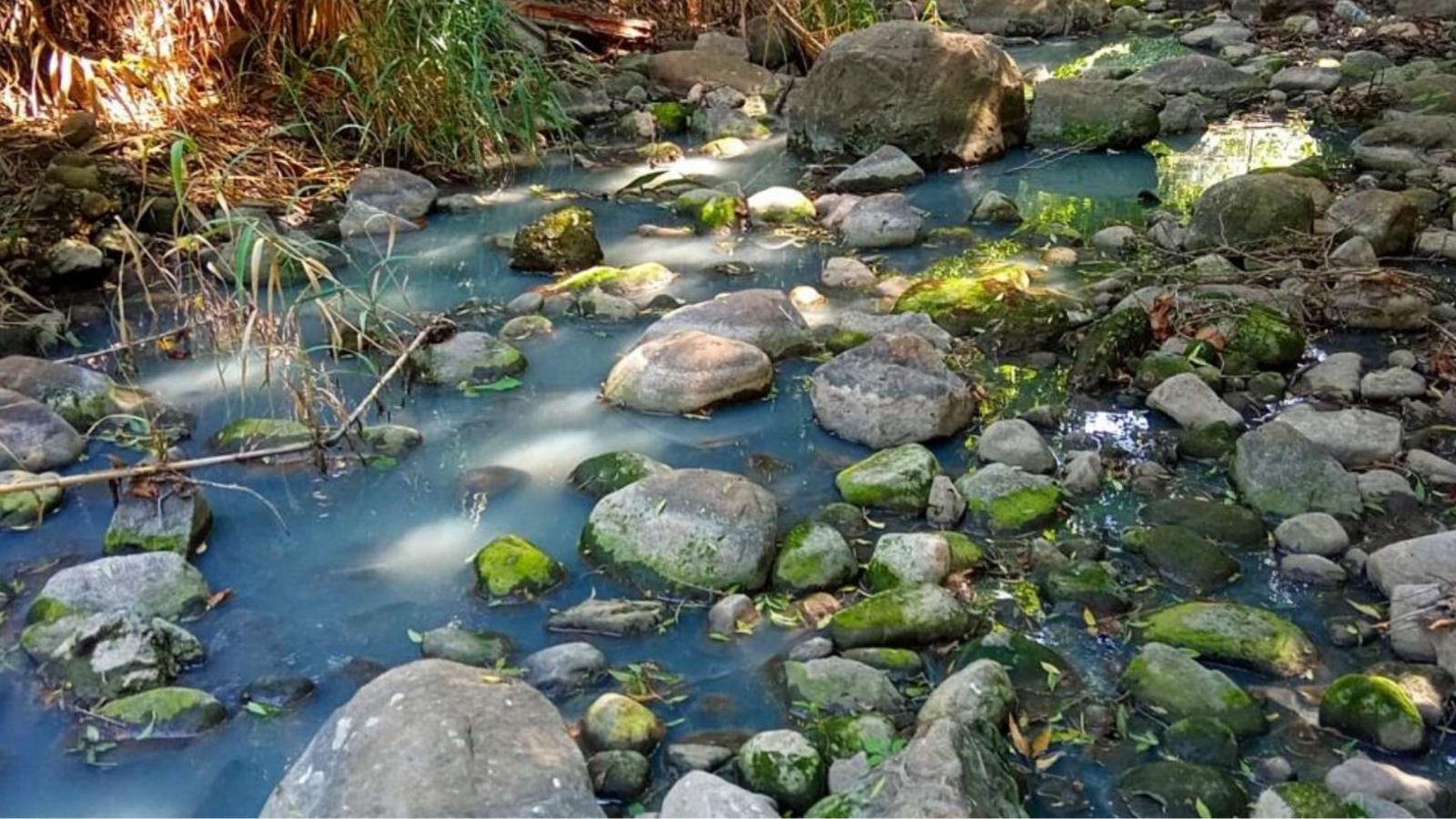 Un vertidos de aguas residuales de San Pablo de Buceite.