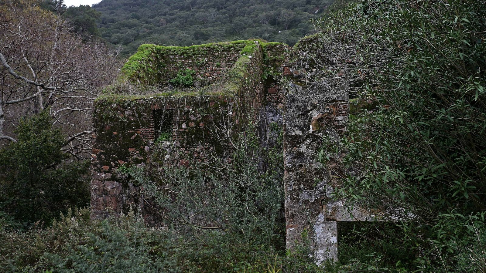 Las mejores fotos del sendero del Río de la Miel