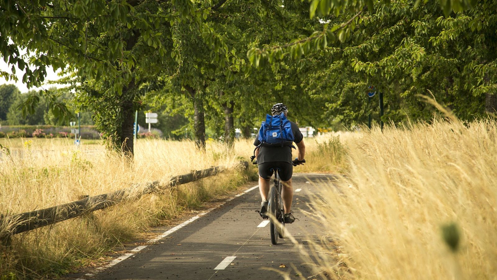 Bicicleta en uno de los senderos que llevan al Camino de Santiago