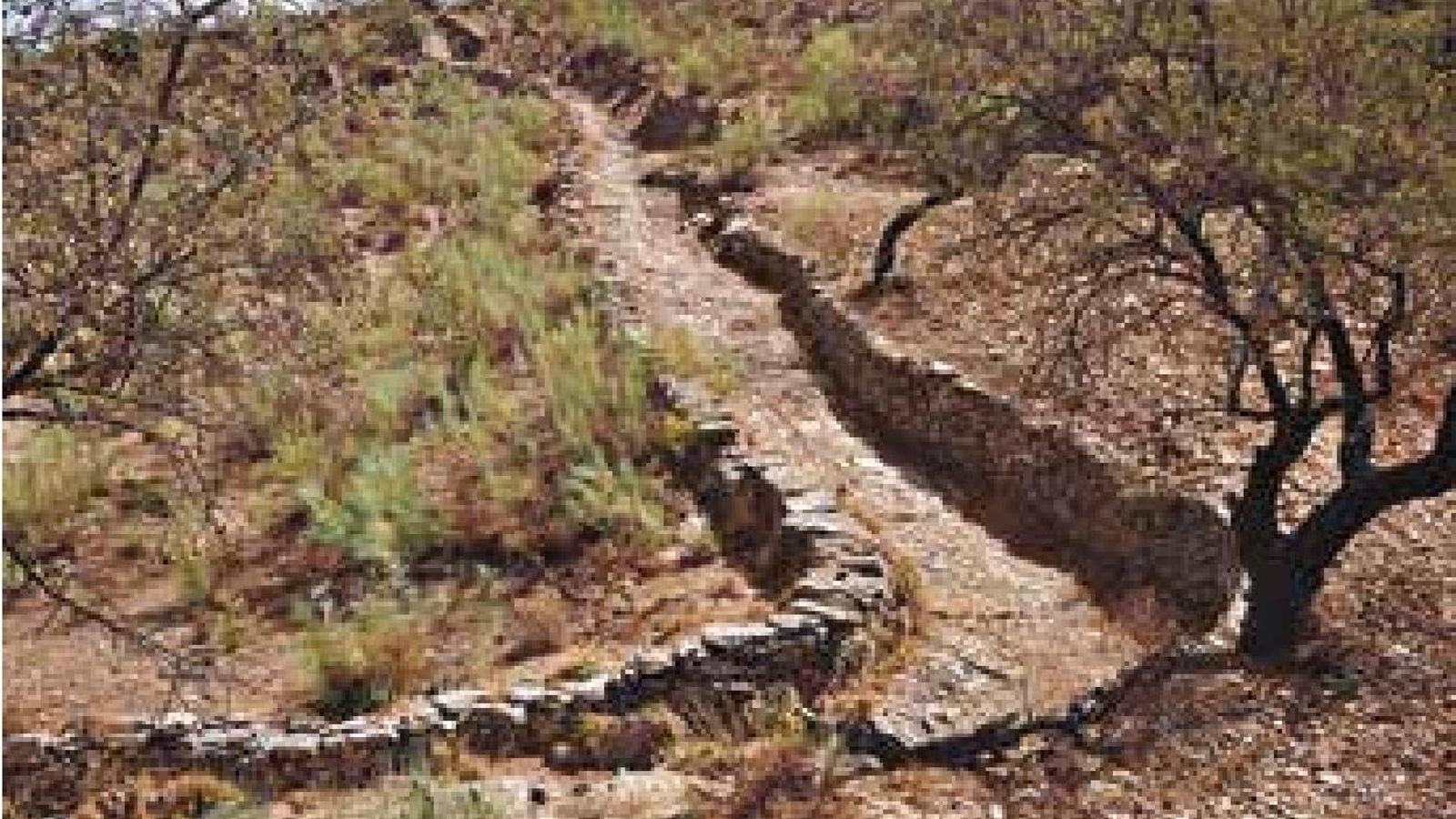 Camino empedrado en Benizalón.