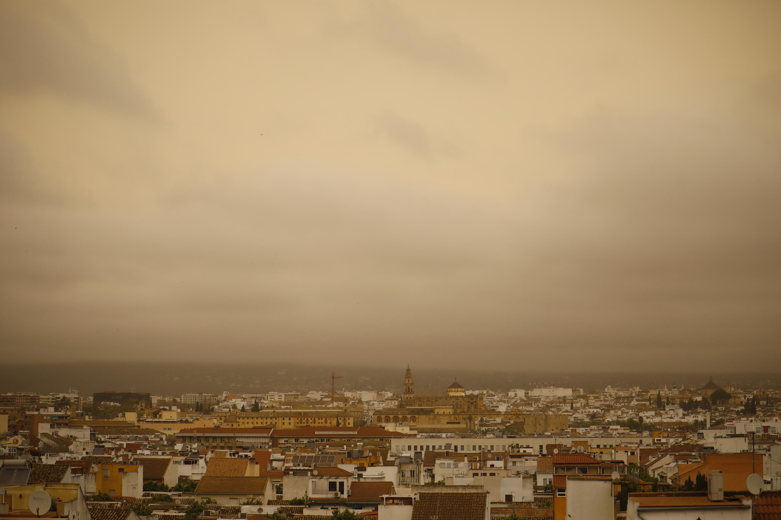 La calima llega a Córdoba, en imágenes