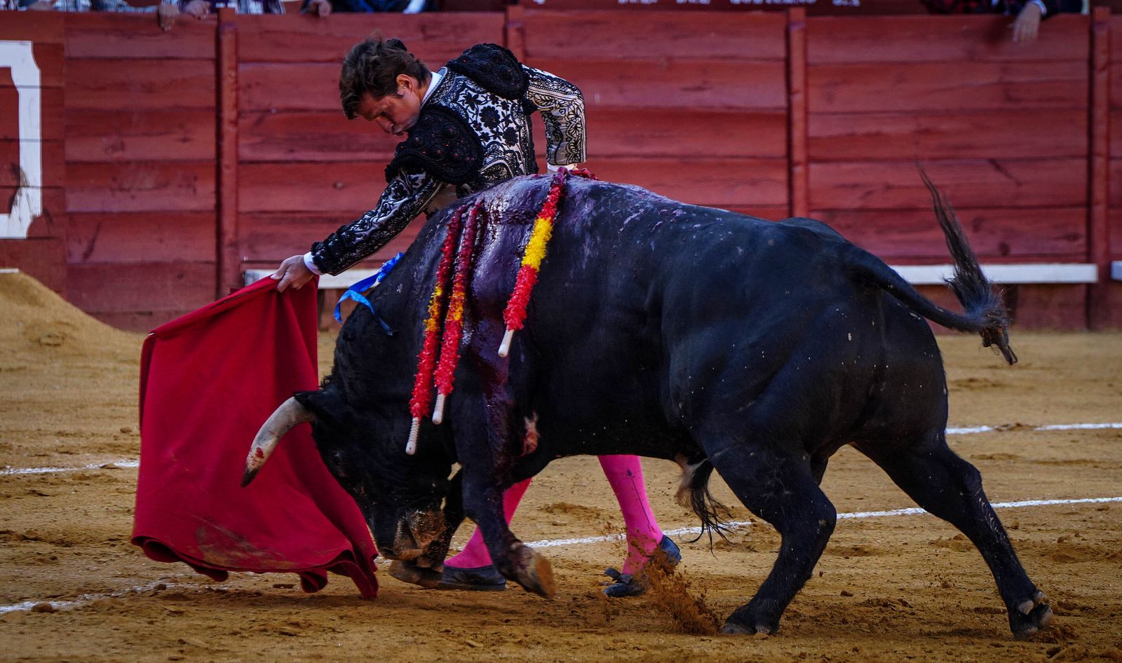 Puerta grande para Roca Rey y El Juli en la plaza de toros de Jerez