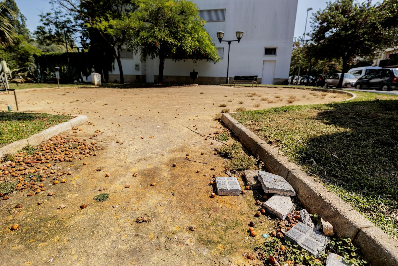 Las zonas verdes menos verdes de la ciudad de Cádiz