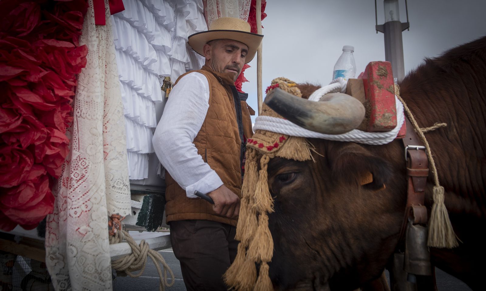 Las imágenes de la salida de la Hermandad del Rocío de Sevilla