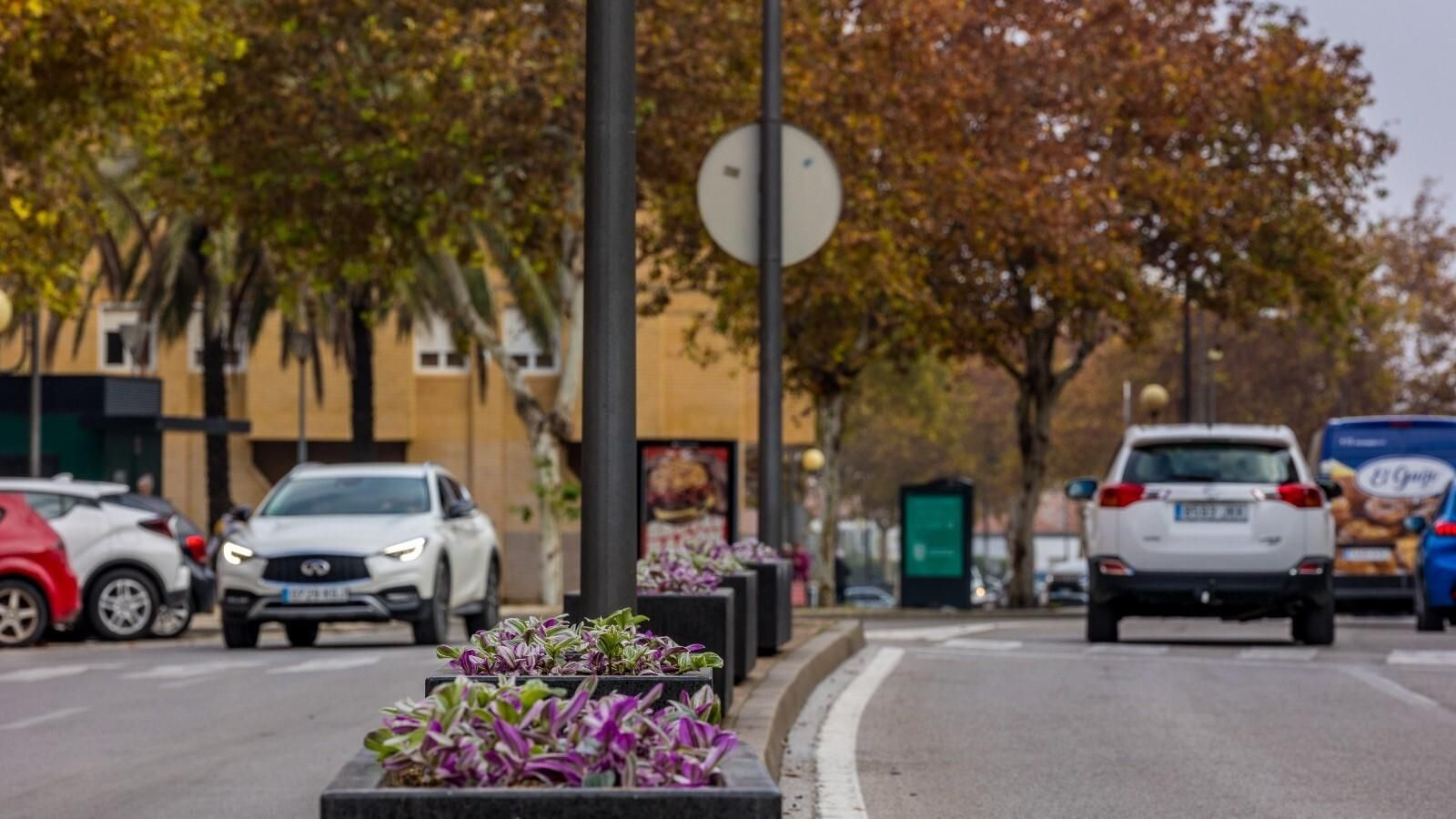 Nuevas jardineras instaladas en la avenida León Herrera. Nuevas jardineras instaladas en la avenida León Herrera.