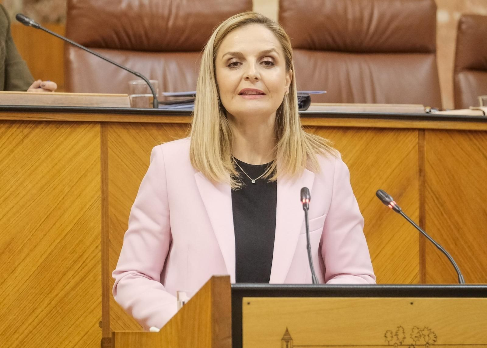 Maribel Sánchez Torregrosa, durante su defensa de la Proposición No de Ley planteada por el PP.