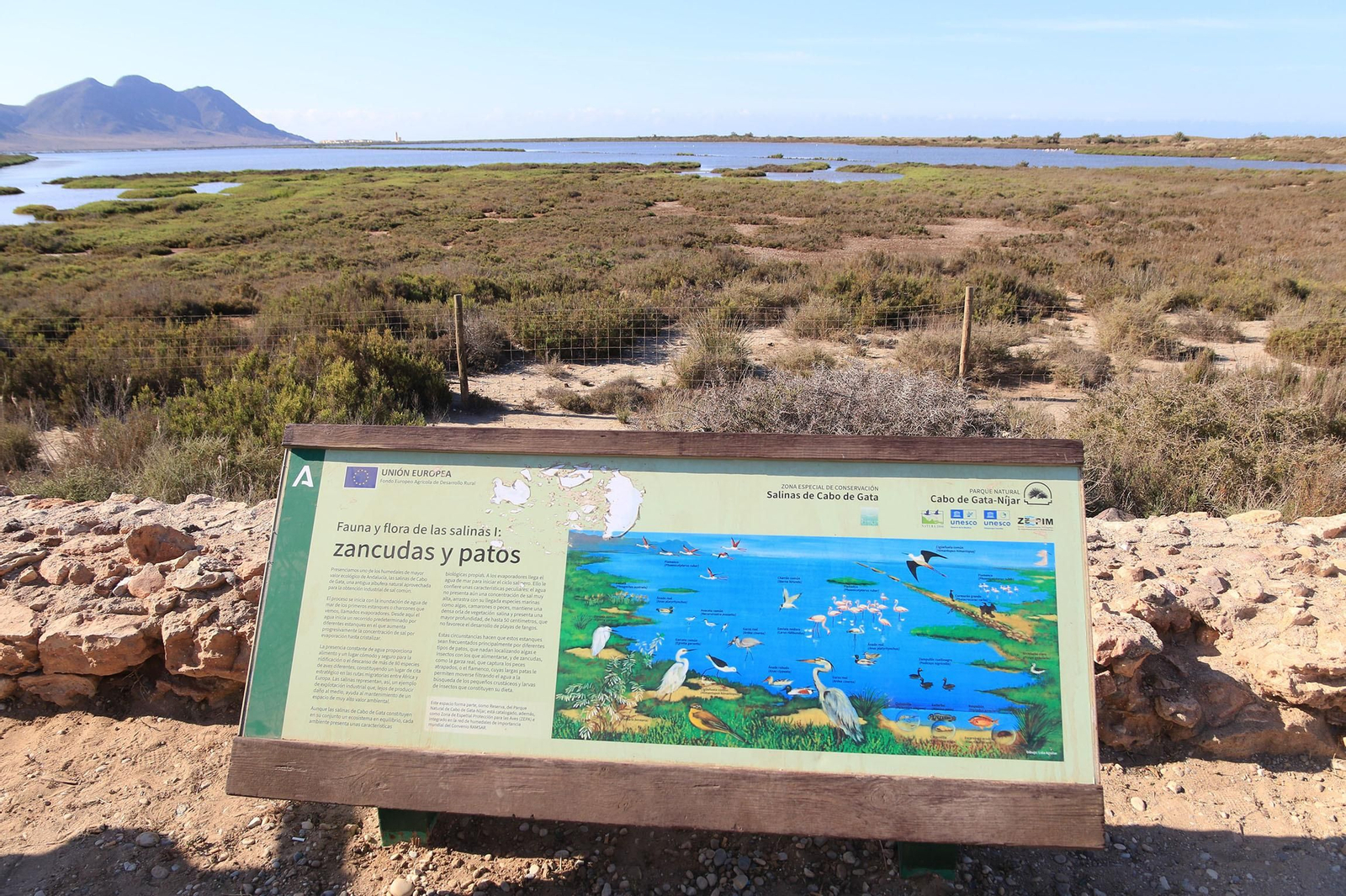 Las imágenes de las Salinas de Cabo de Gata recuperadas y con flamencos