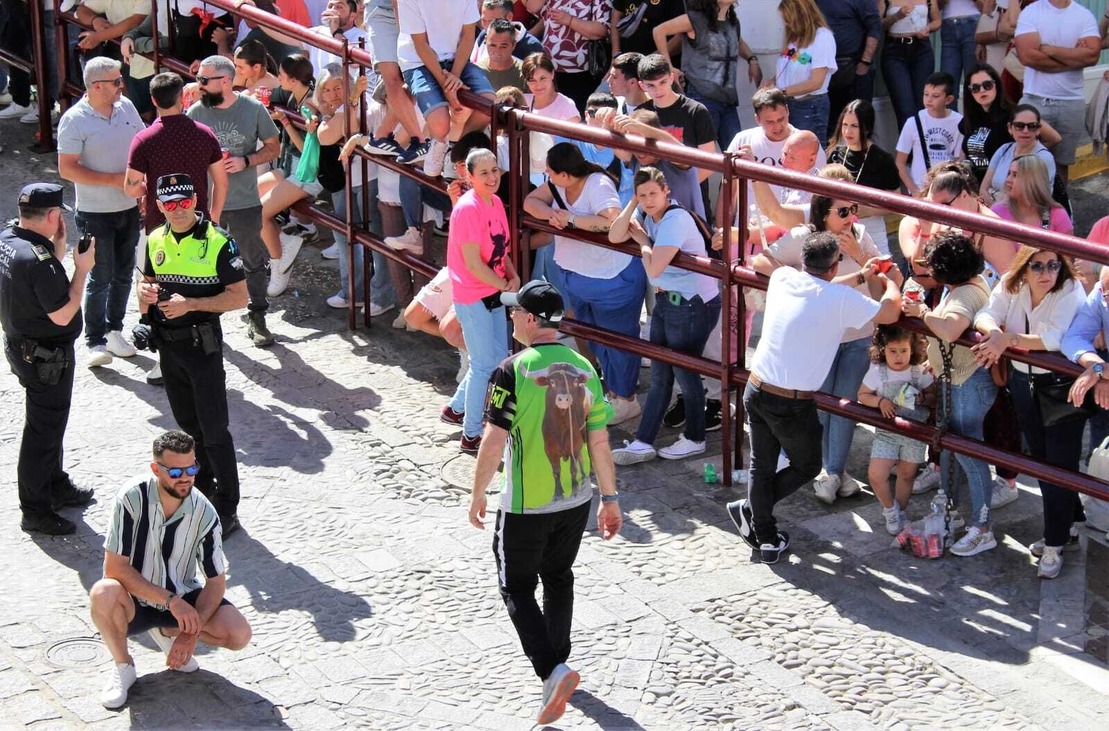 Las imágenes de la celebración del Toro del Aleluya en Arcos 2024