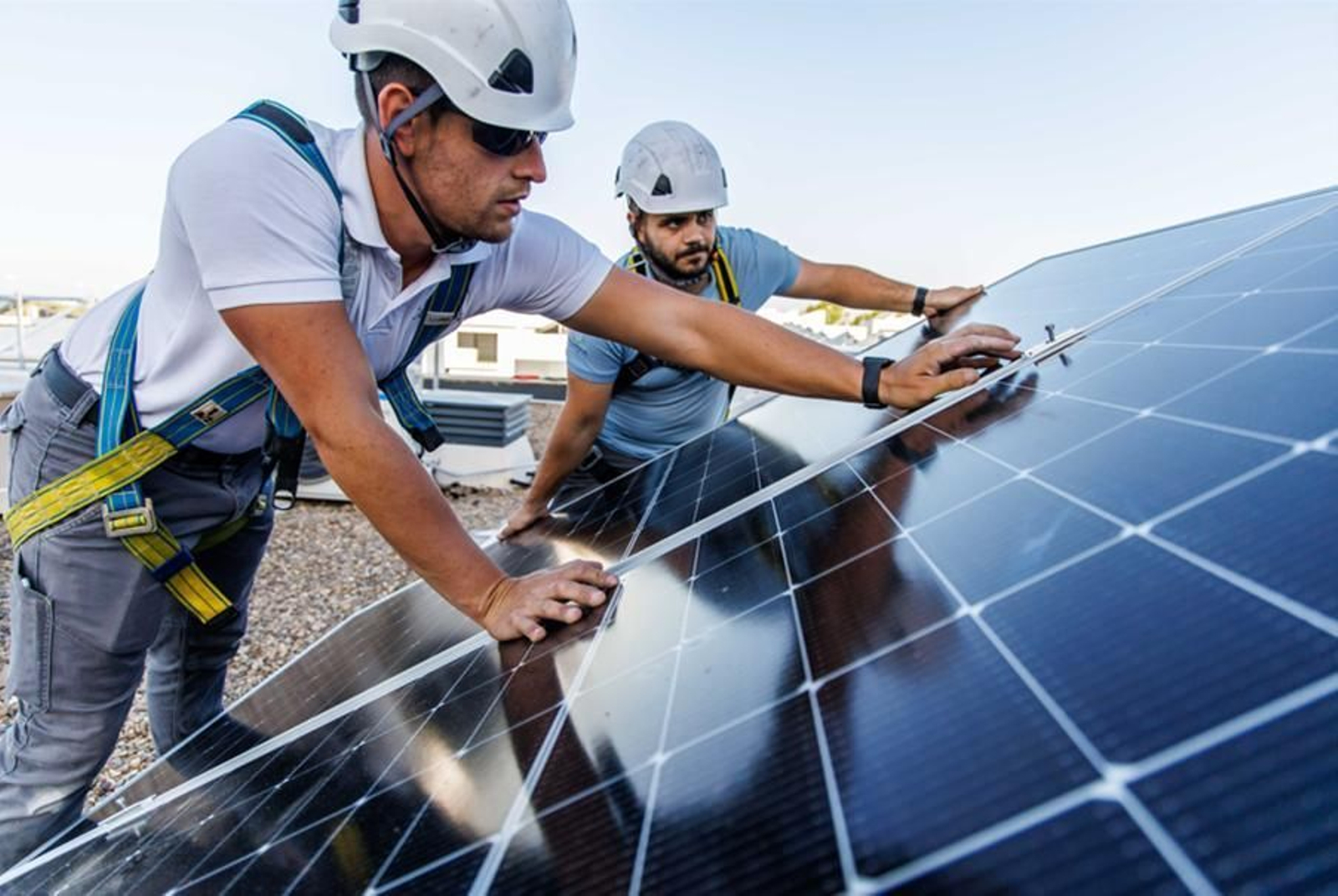 Trabajadores de Quantica Renovables.