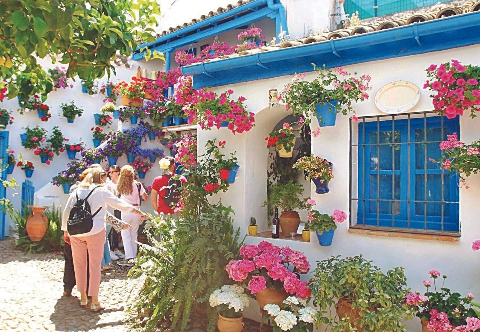 Guía de los Patios: San Juan de Palomares, 11