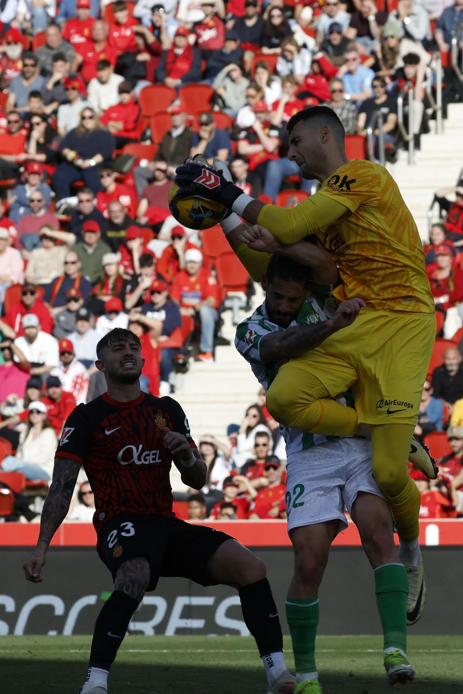 Las fotos del Mallorca - Betis