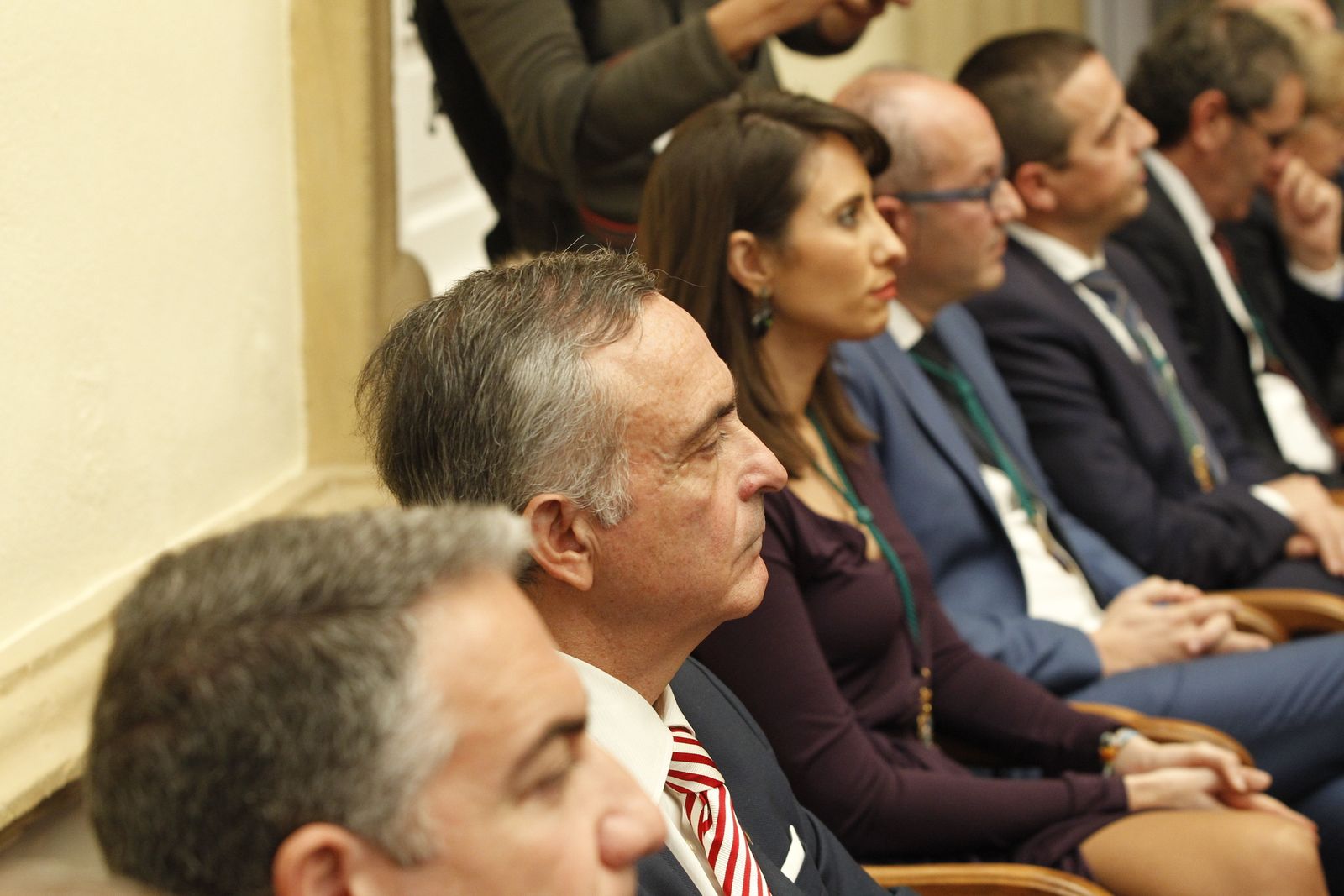 La investidura del nuevo presidente de la Diputación de Almería