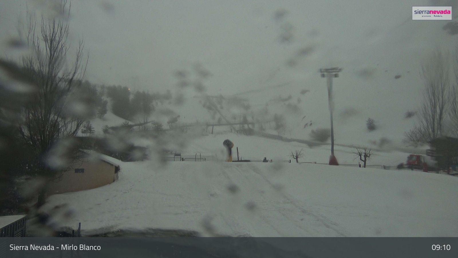 Zona de Mirlo Blanco a primera hora de este viernes.