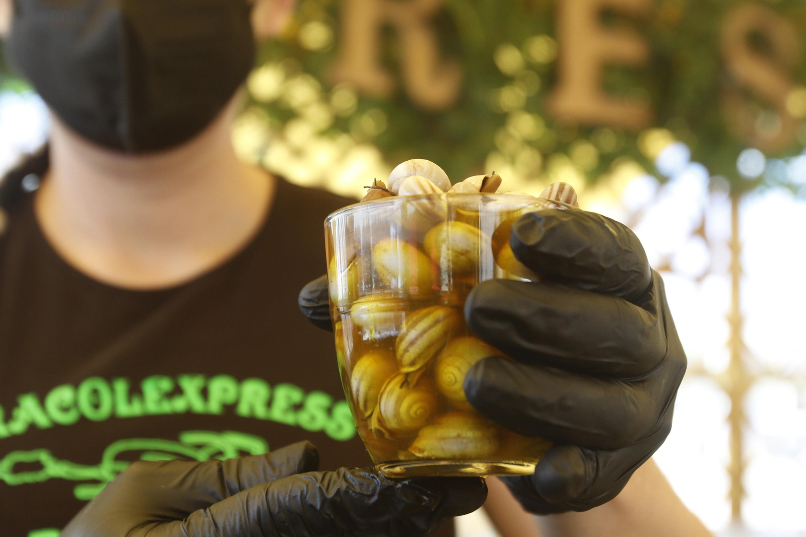 El comienzo de la temporada de caracoles 2022, en imágenes