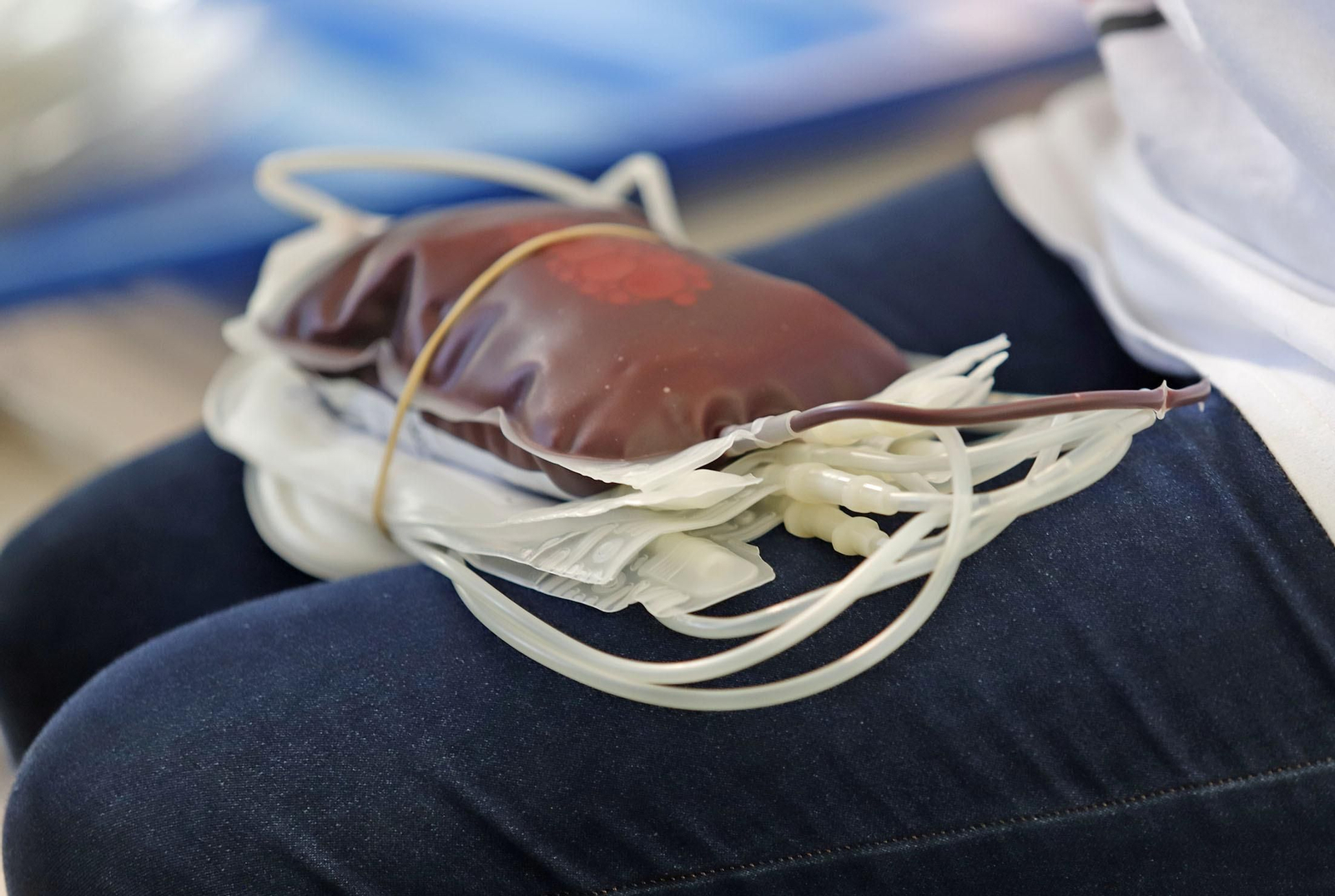 Macrocolecta de sangre en la Casa Colón