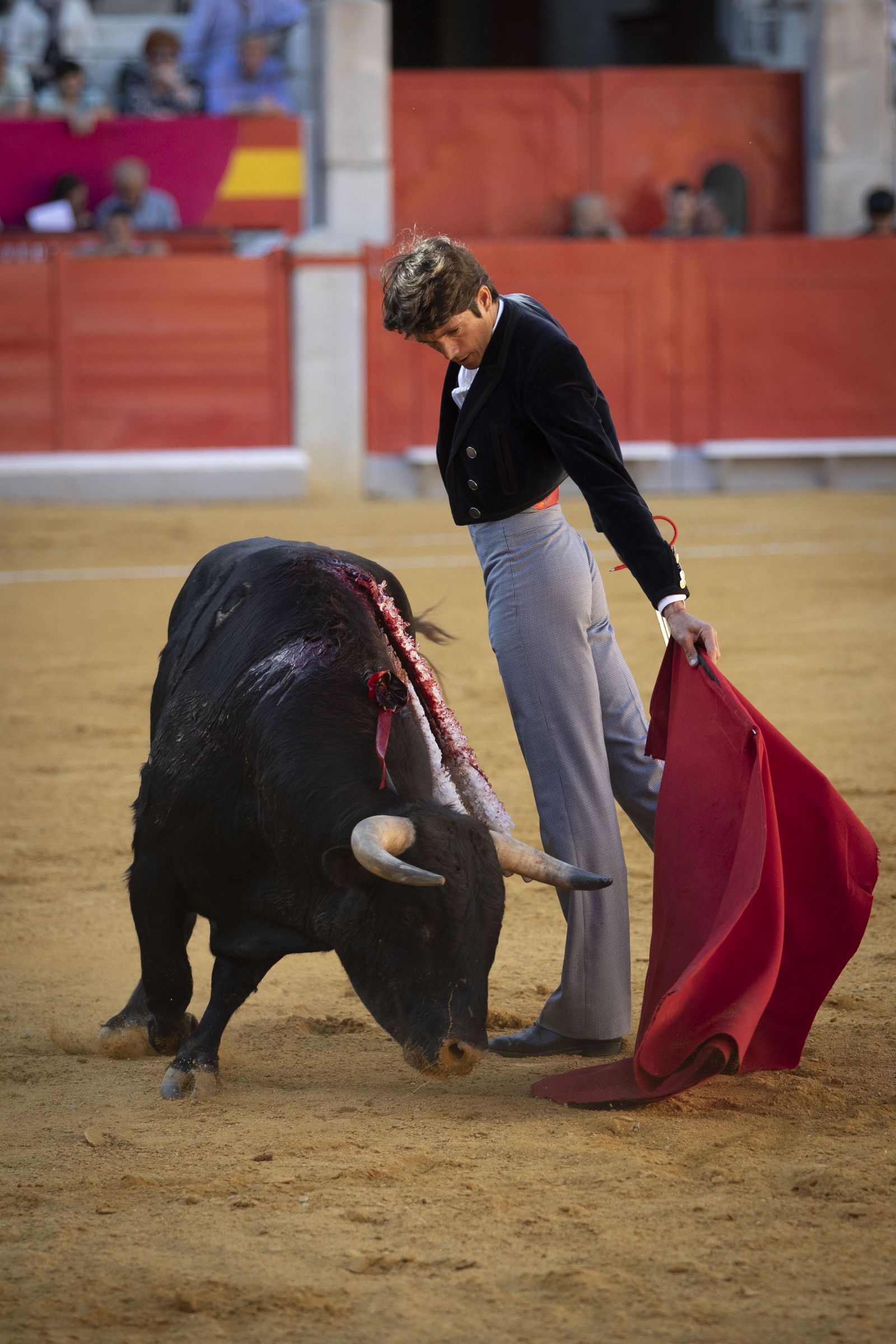 Las mejores imágenes del Festival Taurino en beneficio de Granadadown